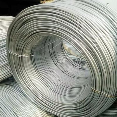 Guter Preis 5.5mm galvanisiertes Stahldrahtseil Nylon PA12 beschichtet galvanisiertes Eisendraht Online